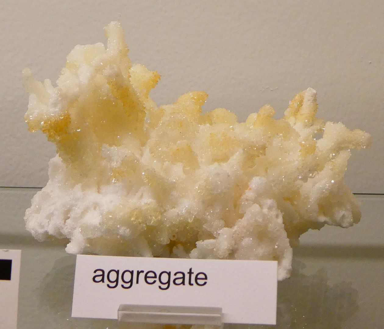 Mineralogy Crystal Habit (Photo Diary)